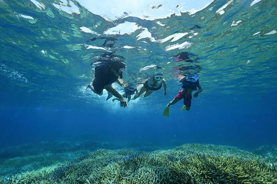 オプショナルツアー手配