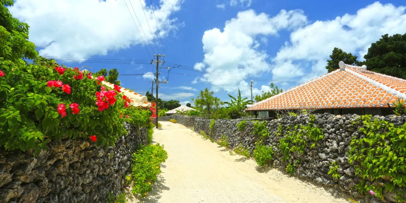 オプショナルツアー イメージ