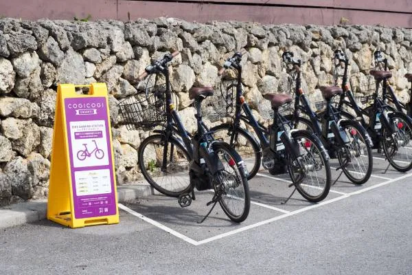 電動アシスト自転車