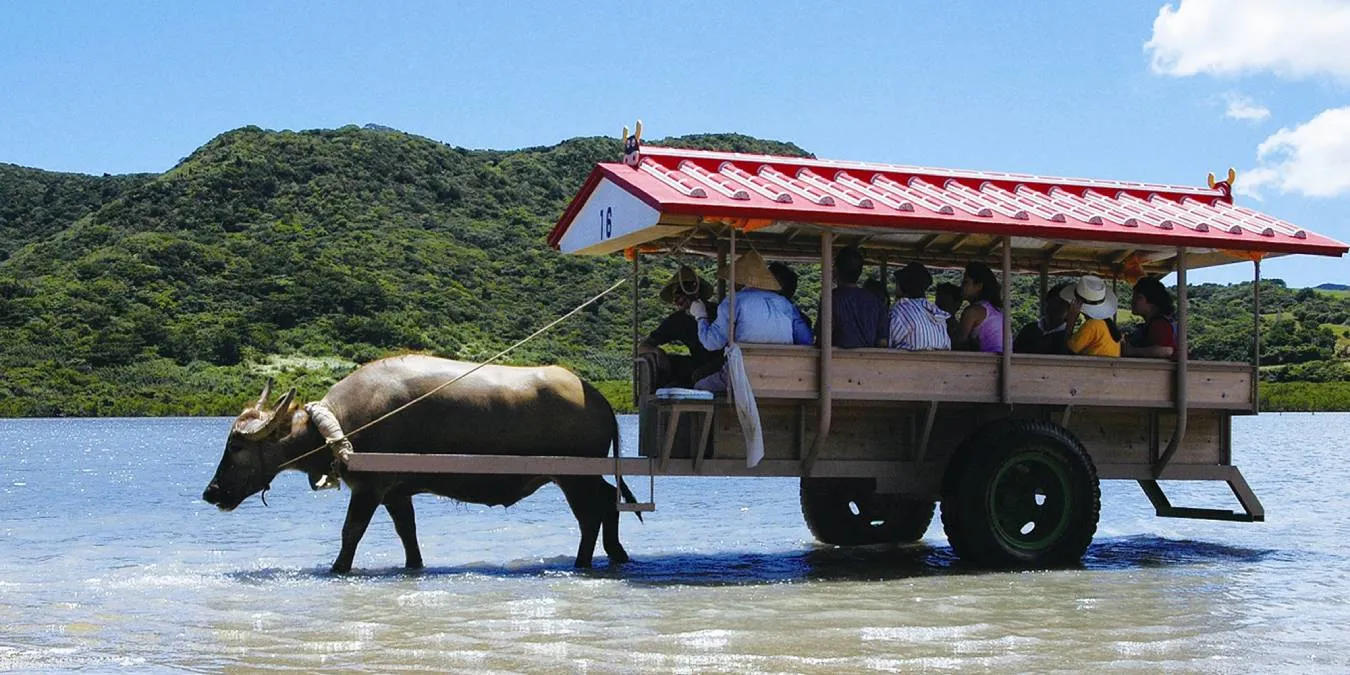オプショナルツアー イメージ