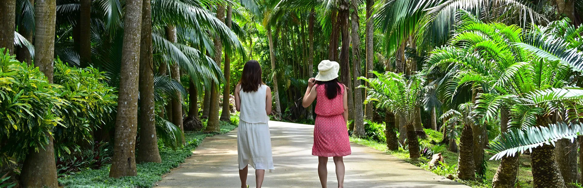 観光・イベント