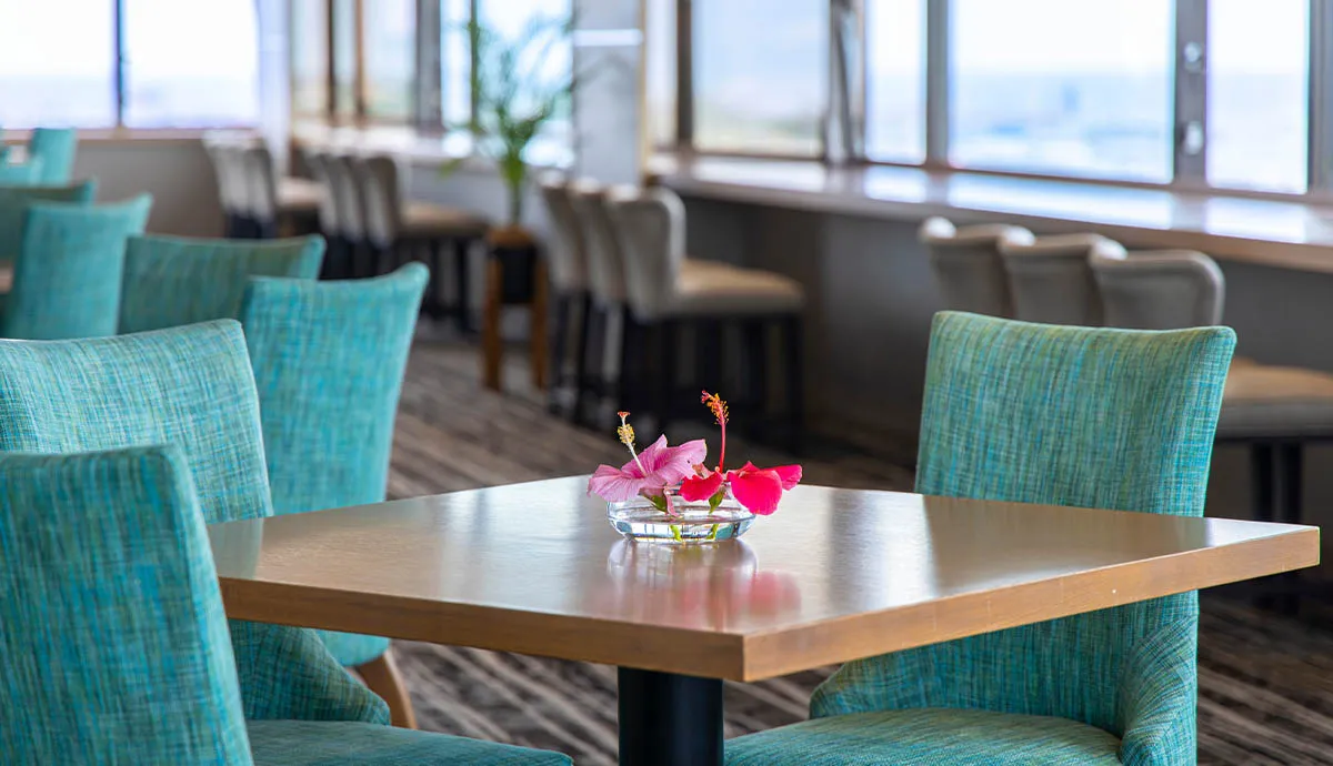 スカイバー カプリコン