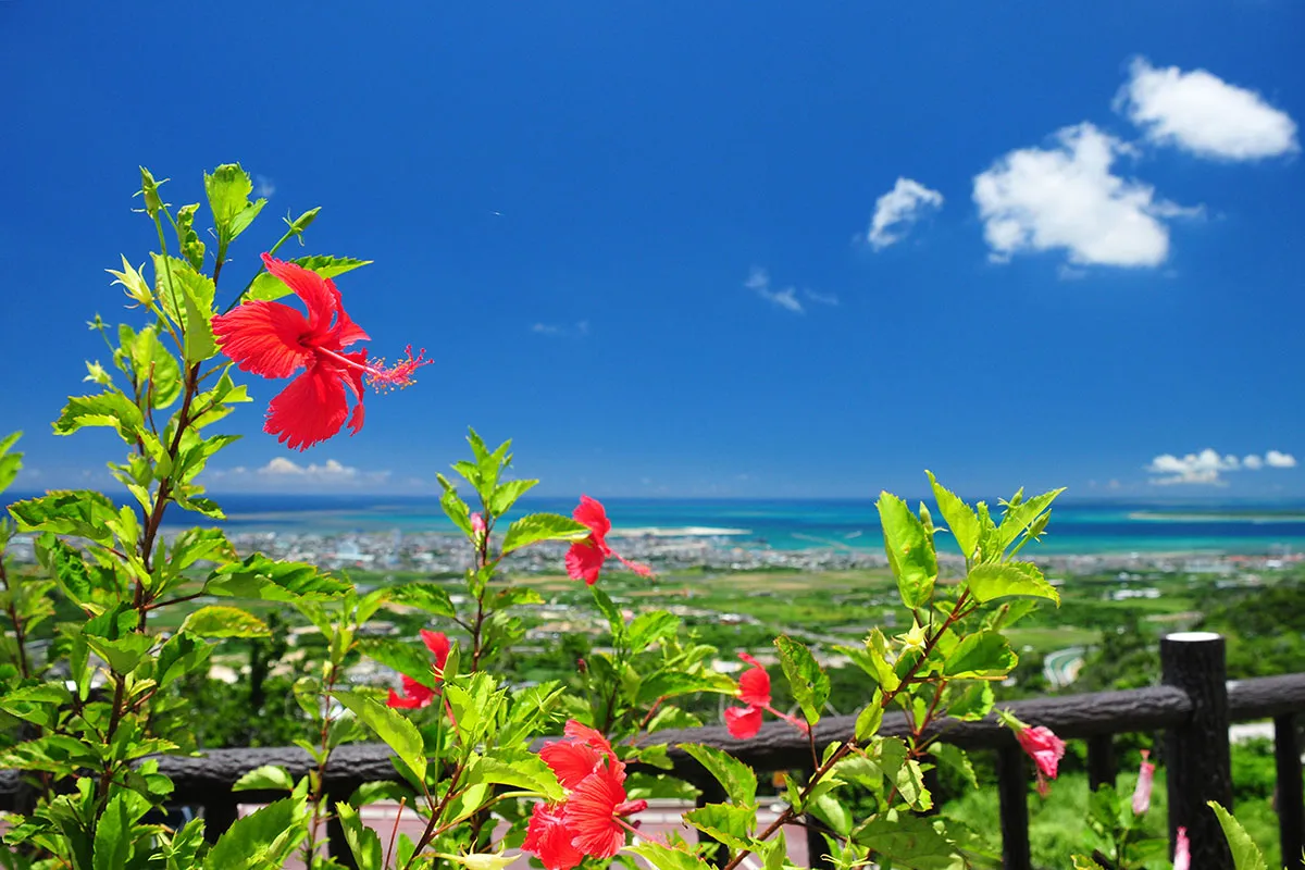 紙のテレビ番組表はお部屋にはご用意しておりません