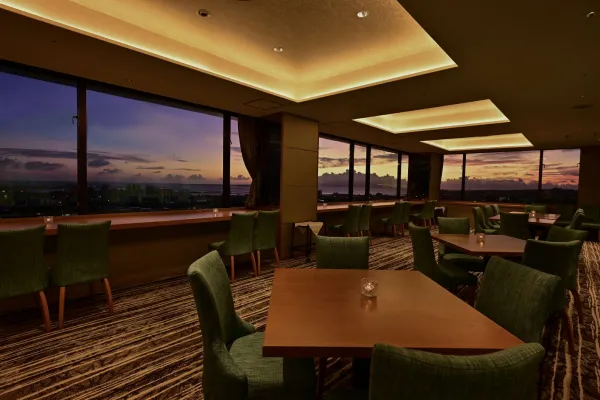 スカイバー カプリコン