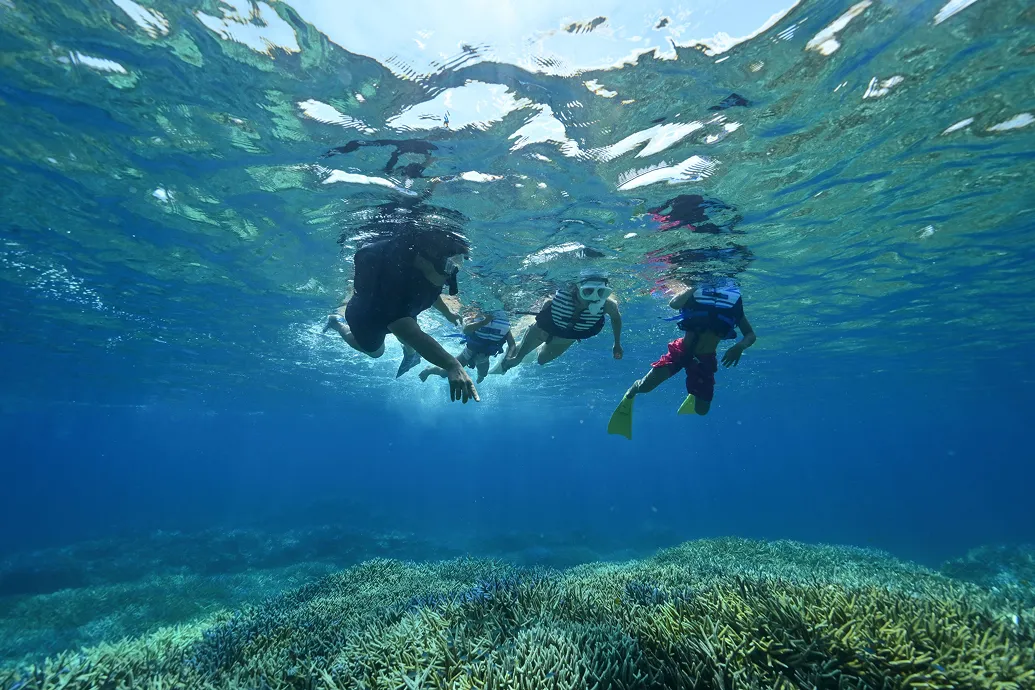 さぁ冒険へ！オプショナルツアー手配可