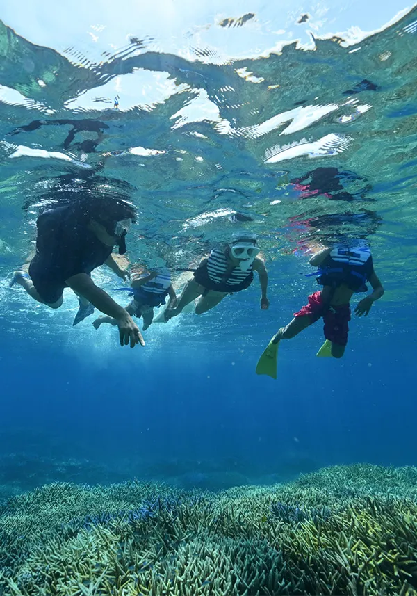 四季折々の体験、石垣島の魅力を巡る