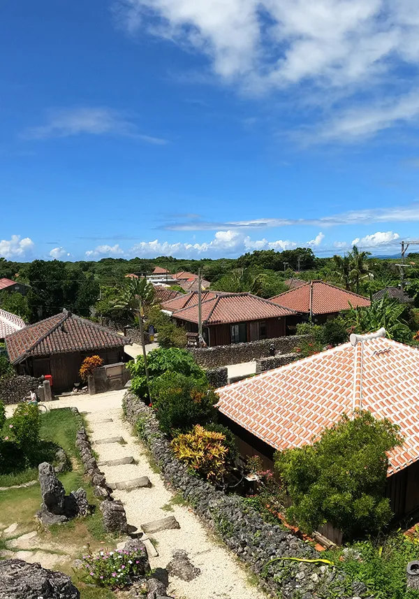 四季折々の体験、石垣島の魅力を巡る