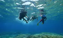 オプショナルツアーご案内