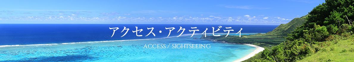 アクセス・アクティビティ