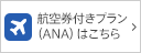 航空券付きプラン(ANA)